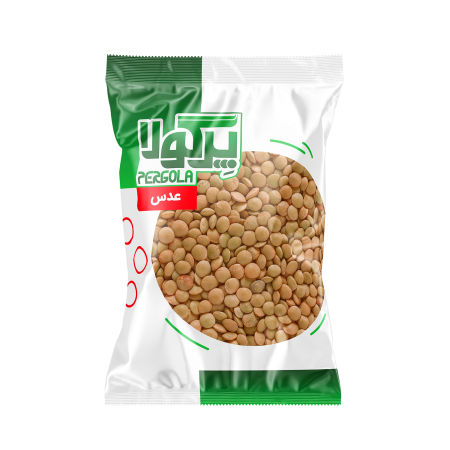 عدس پرگولا