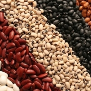 انواع لوبیا