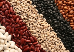 انواع لوبیا