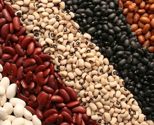انواع لوبیا
